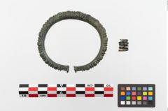 Foto von Bronzeperlarmreif (NHMW-PRAE-023800)